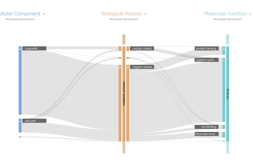 Screenshot of ParallelHierarchies visualization